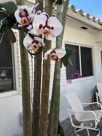 1160 SW 22nd Terrace Miami FL 33129