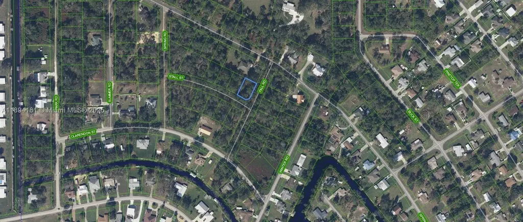 1431 Stall Street Lake Placid FL 33852