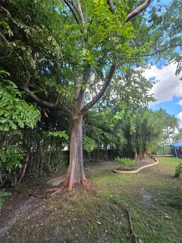 12910 SW 117th Street Miami FL 33186