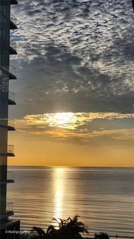 Hallandale Beach FL 33009
