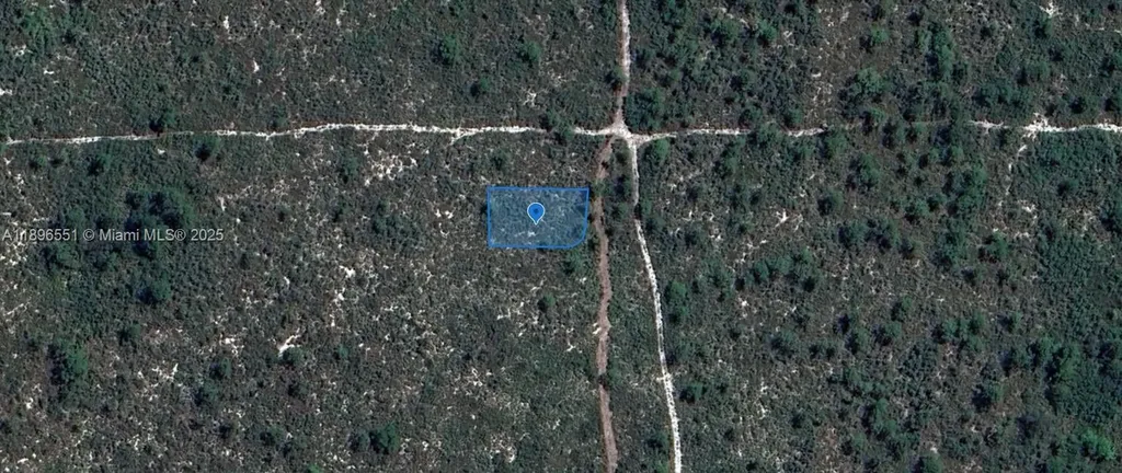 700 Watterson Lake Placid FL 33852