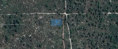 700 Watterson Lake Placid FL 33852