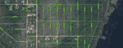 700 Watterson Lake Placid FL 33852