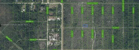 701 Camden Street Lake Placid FL 33852