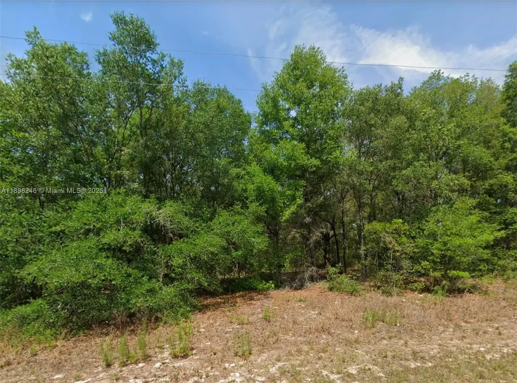 11451 N Clare Citrus Springs FL 34434