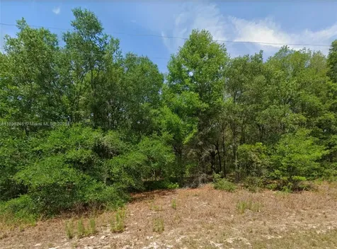 11451 N Clare Citrus Springs FL 34434