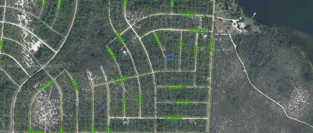 729 Suffolk Street Lake Placid FL 33852