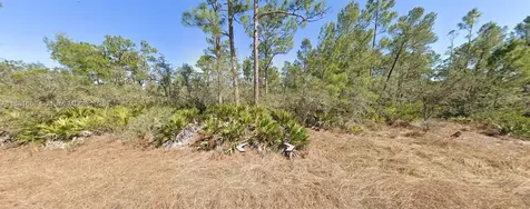 729 Suffolk Street Lake Placid FL 33852
