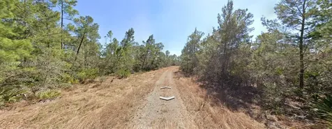729 Suffolk Street Lake Placid FL 33852