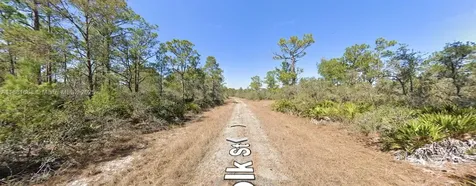 729 Suffolk Street Lake Placid FL 33852