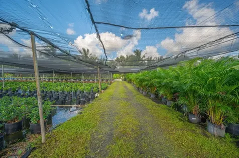 20750 SW 256 Street Homestead FL 33031