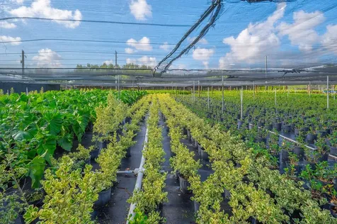 20750 SW 256 Street Homestead FL 33031