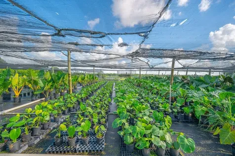 20750 SW 256 Street Homestead FL 33031