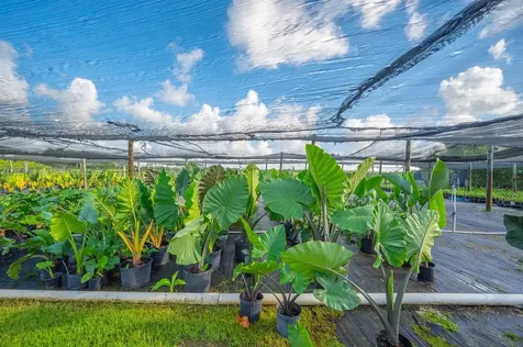 20750 SW 256 Street Homestead FL 33031