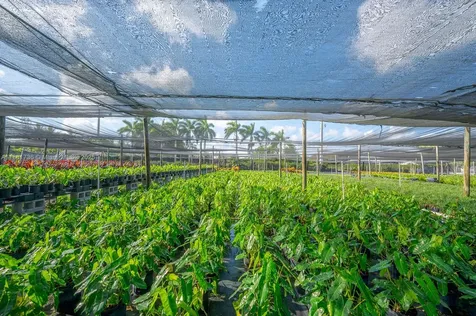 20750 SW 256 Street Homestead FL 33031