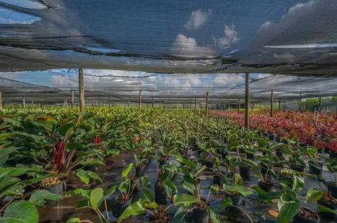 20750 SW 256 Street Homestead FL 33031