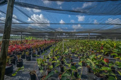 20750 SW 256 Street Homestead FL 33031