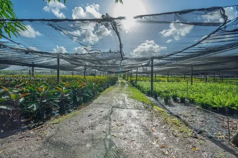 20750 SW 256 Street Homestead FL 33031