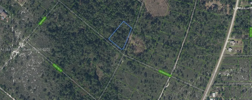 Lake Placid FL 33852