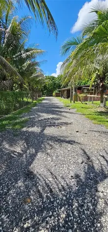 15351 SW 194th Avenue Miami FL 33187