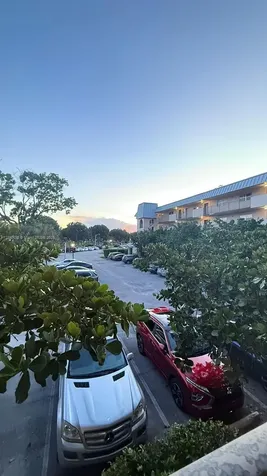 Lauderhill FL 33319