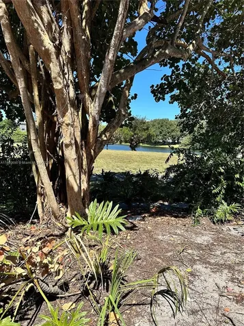 Lauderhill FL 33319