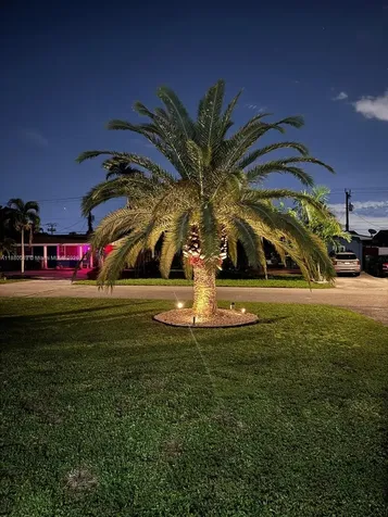 8791 NW 16th Street Pembroke Pines FL 33024