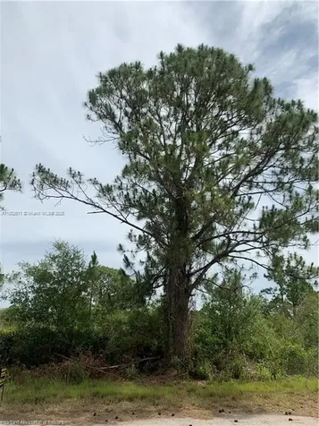 105 Citation Street Lake Placid FL 33852