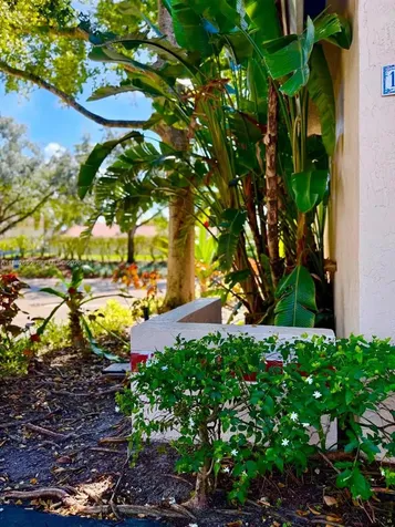 1321 N Seagrape Circle Weston FL 33326