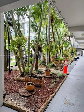 4117 Bougainvilla Drive Lauderdale By The Sea FL 33308