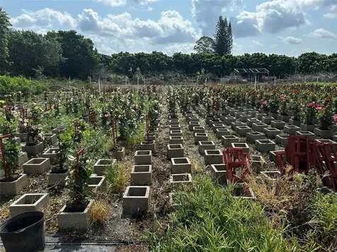 19815 SW 256 Street Homestead FL 33031