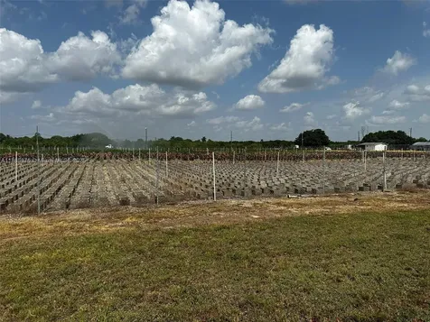 19815 SW 256 Street Homestead FL 33031