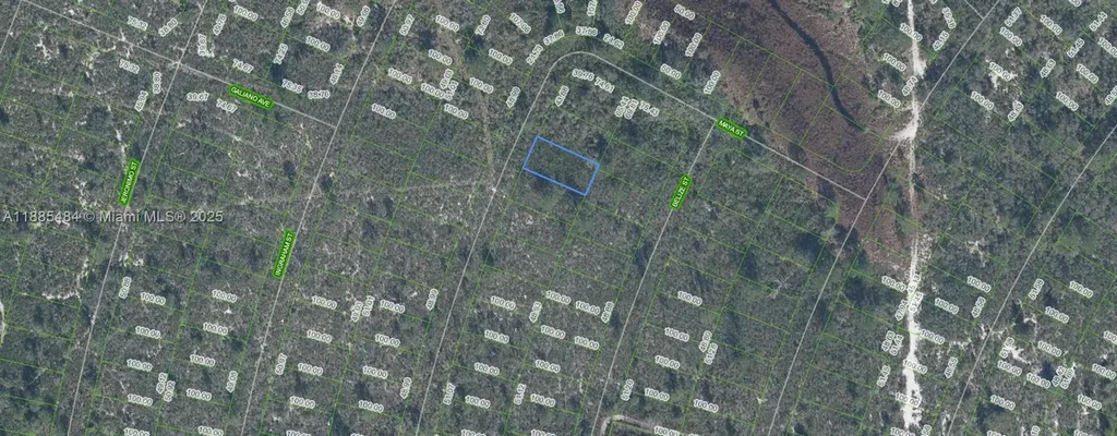 4725 Maya Street Sebring FL 33872