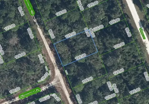 1131 Butternut Road Lake Placid FL 33852