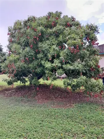 22220 SW 248th Street Homestead FL 33031