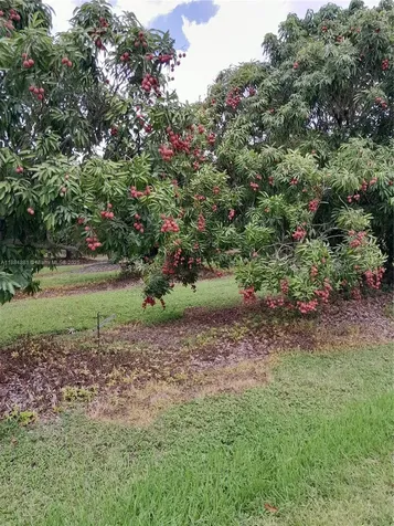 22220 SW 248th Street Homestead FL 33031