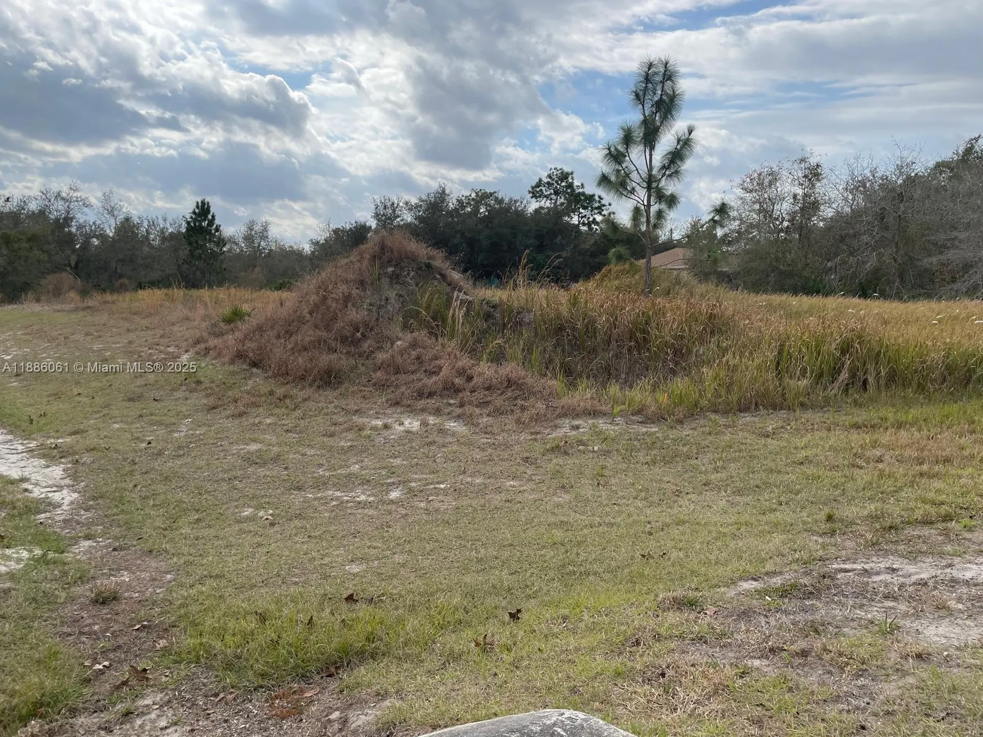531 Street Johns Ct, Kissimmee, Fl 34759 Other City - In The State Of Florida FL 34759