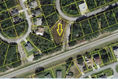 531 Street Johns Ct, Kissimmee, Fl 34759 Other City - In The State Of Florida FL 34759