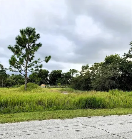 531 Street Johns Ct, Kissimmee, Fl 34759 Other City - In The State Of Florida FL 34759