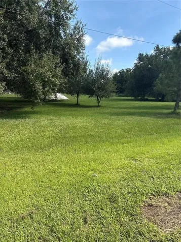 357 Horse Club Clewiston FL 33440