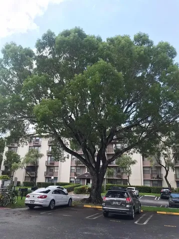 2701 Riverside Drive Coral Springs FL 33065
