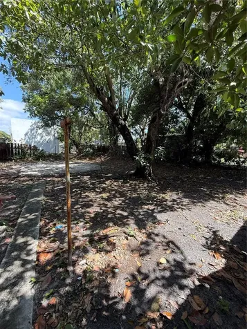1239 NW 31st Street Miami FL 33142