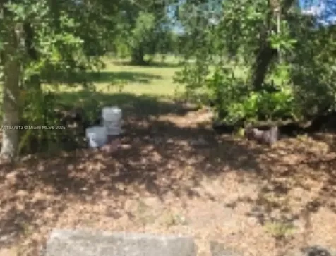 320 S Trebol Street Clewiston FL 33440