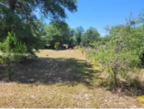 320 S Trebol Street Clewiston FL 33440
