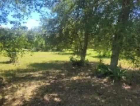 320 S Trebol Street Clewiston FL 33440