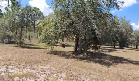 320 S Trebol Street Clewiston FL 33440