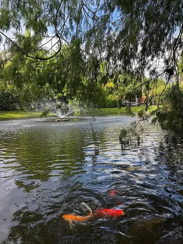 4100 SW 102nd Avenue Davie FL 33328