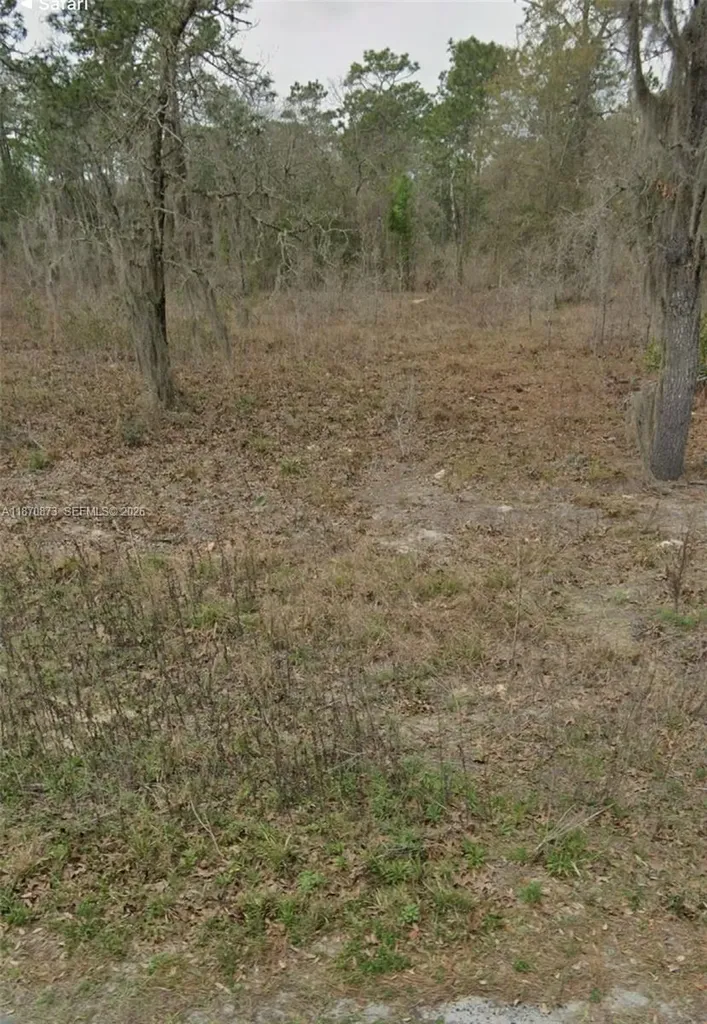 Undetermined SW 130th Avenue Other City - In The State Of Florida FL 34432