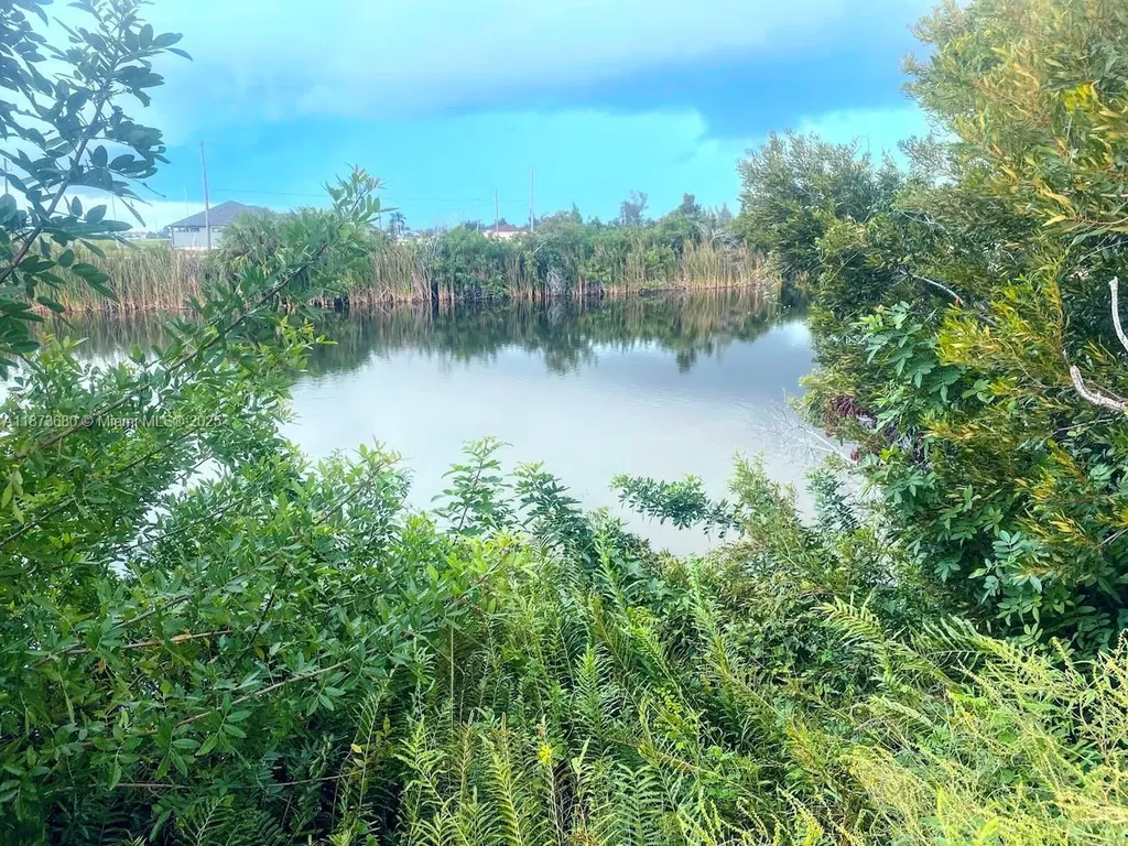 3117 NW 9th Street Cape Coral FL 33993
