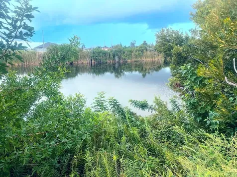3117 NW 9th Street Cape Coral FL 33993